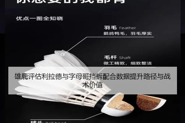 雄鹿评估利拉德与字母哥挡拆配合数据提升路径与战术价值